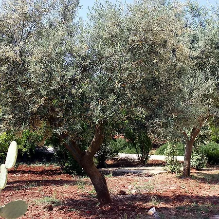 Casa de Férias Al Melograno Martina Franca
