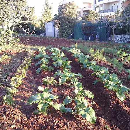 Casa de Férias Al Melograno *